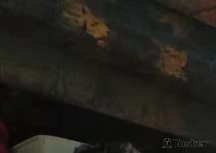 與波蘭攝影師相遇的一天