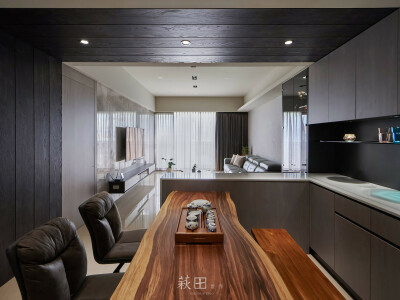 漂流木。The Driftwood