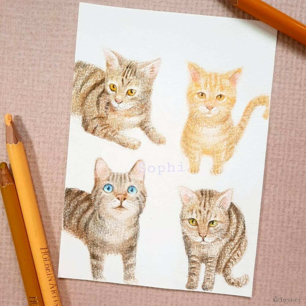 寵物明信片客製化