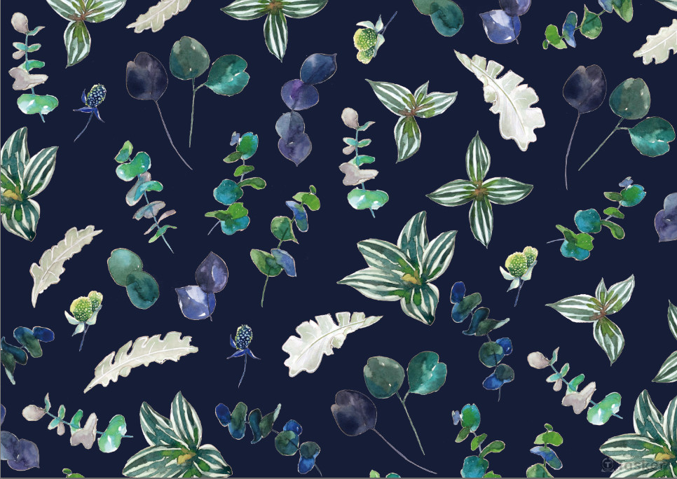 冬天的植物圖鑑