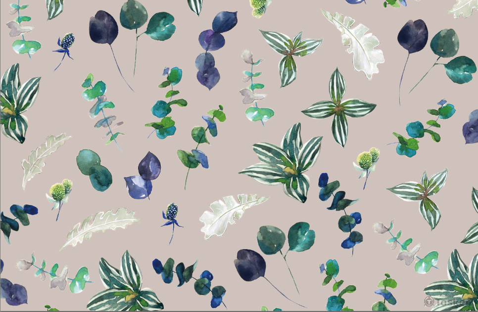 冬天的植物圖鑑