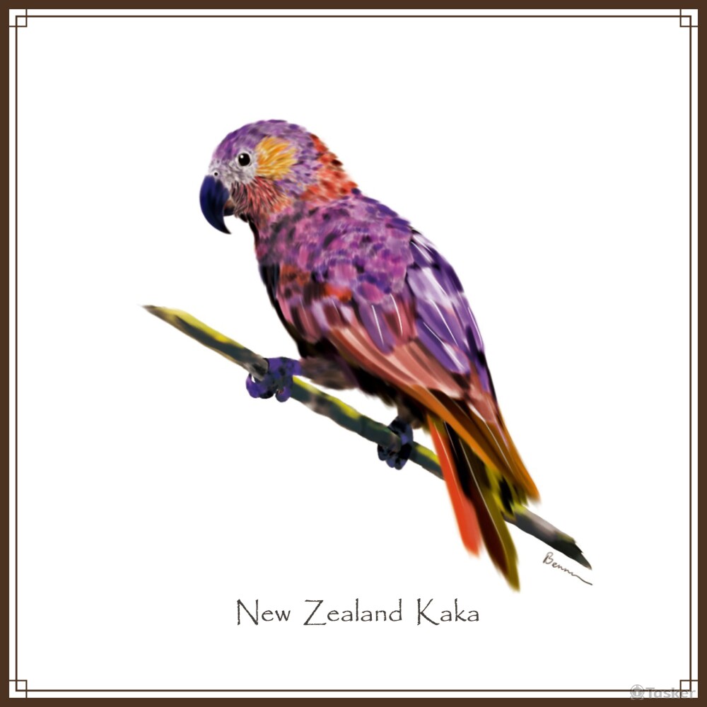 瀕危鳥類插圖-1