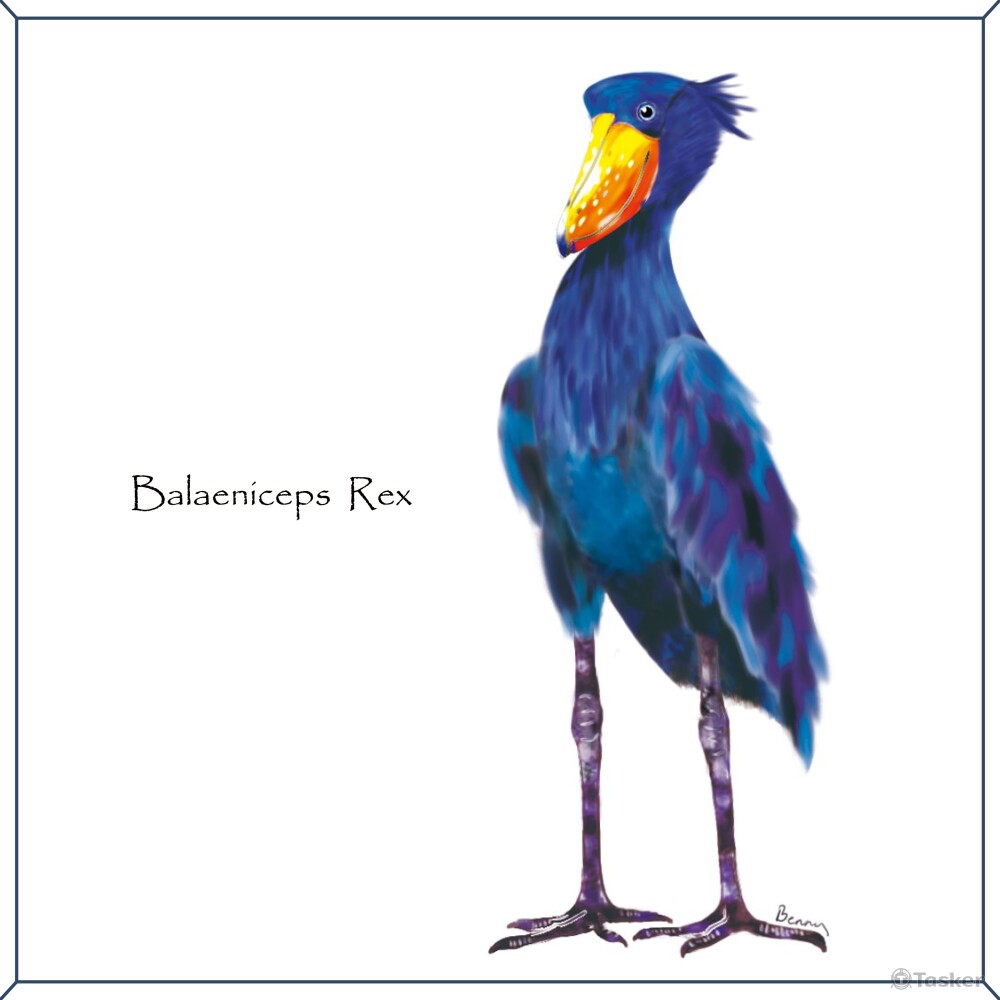 瀕危鳥類插圖-4