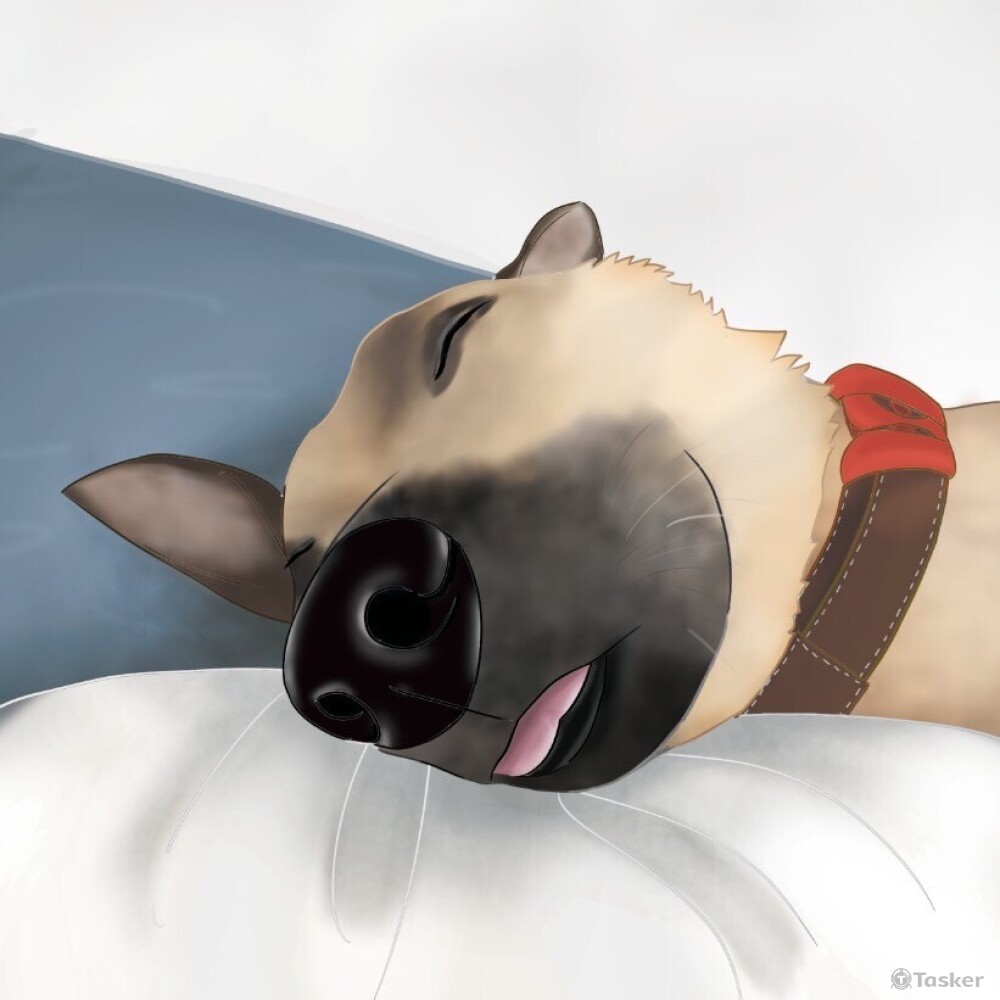 寵物似顏繪-5(邊框疊色)