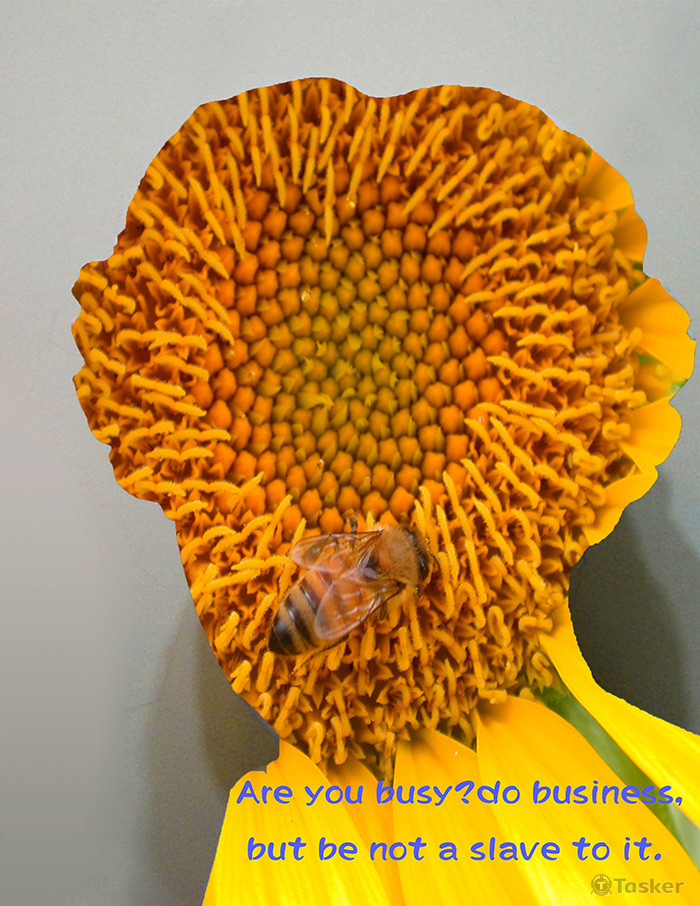 影像設計~Busy lifeNT2500