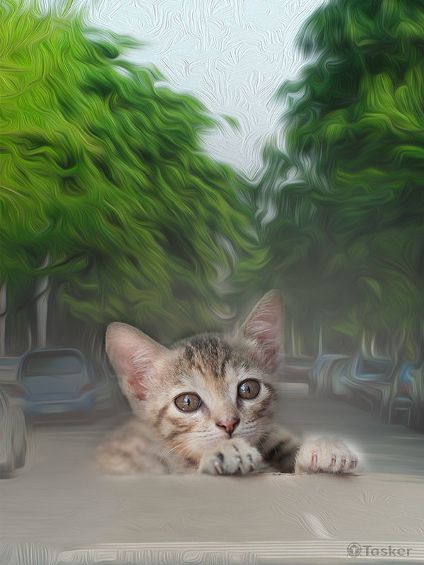 影像設計~I'm so scaer