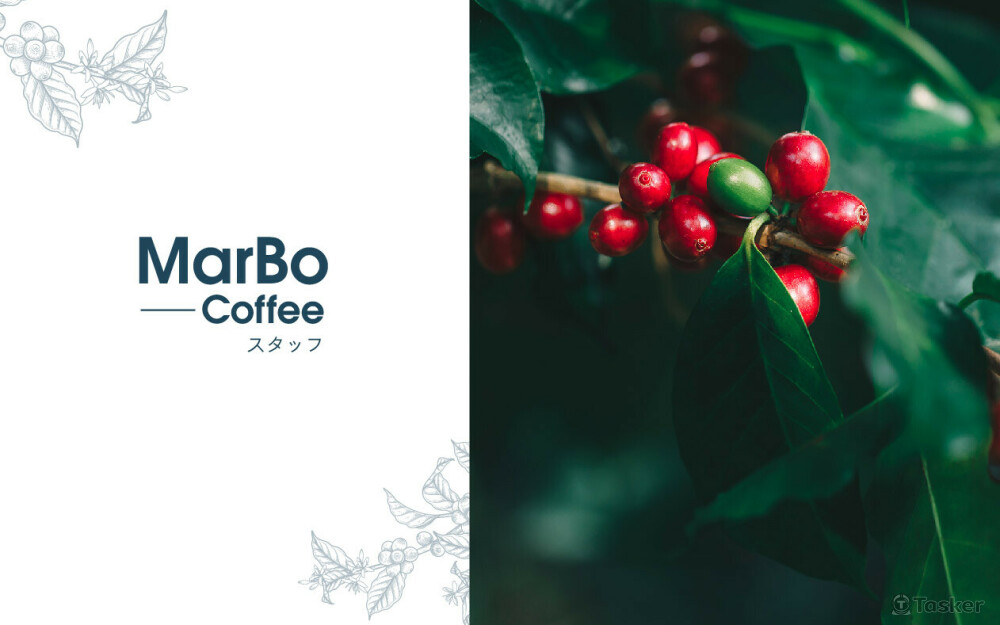 MarBo 品牌形象 包裝設計