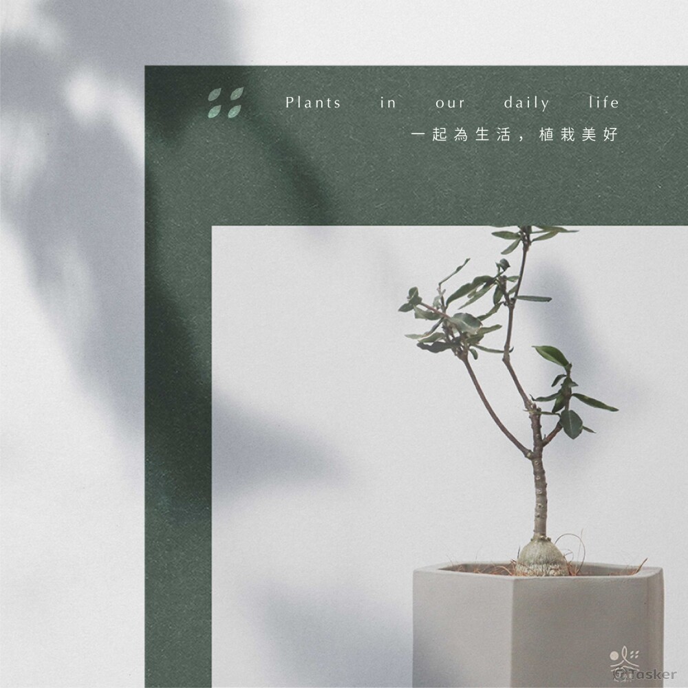 森植栽盆栽植物商店