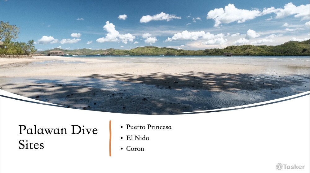 用英文介紹菲律賓巴拉望的潛水經驗，照片為友人拍攝授權使用。