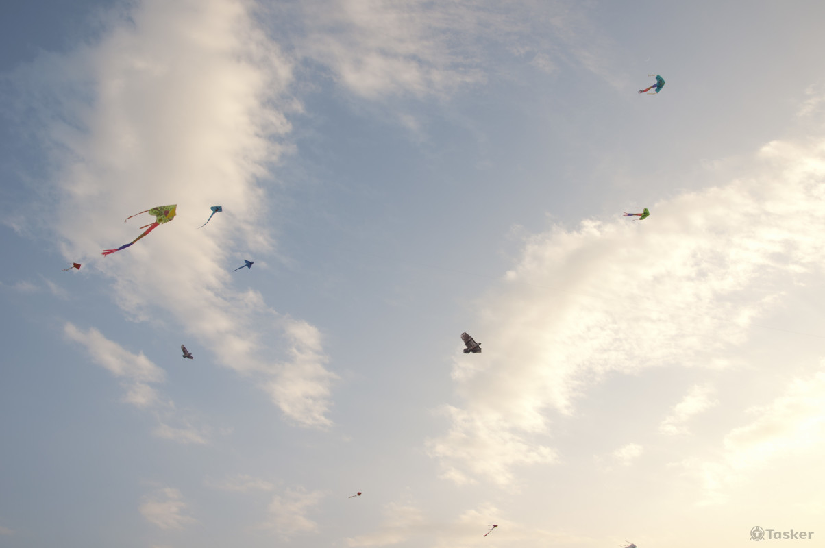 個人攝影創作作品