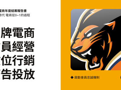 統一獅品牌電商｜從0~1｜電商行銷｜廣告投放｜數據分析｜檔期策劃