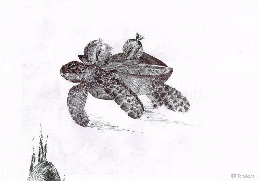 海龜_插畫類/原子筆素描_黑色原子筆