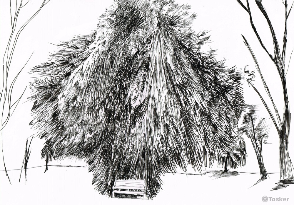 大樹_插畫類_黑色原子筆