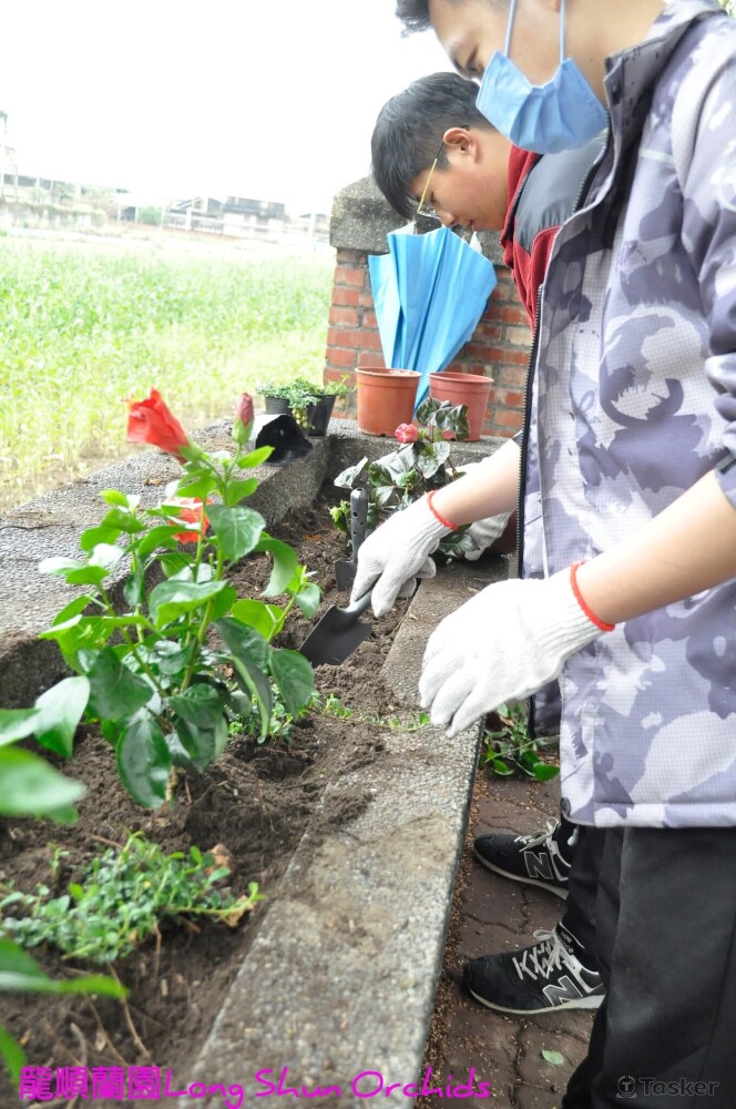 學生體驗栽種
