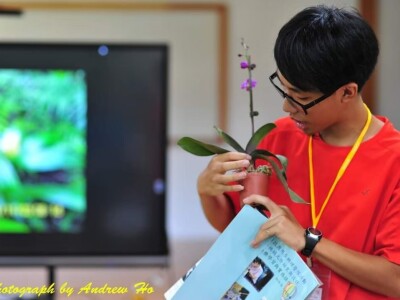 龍順蘭園×遠東科大夢想家團隊教育優先區中小學營隊×鹽水區竹埔國小營隊-蘭花體驗營