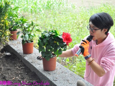 龍順蘭園×遠東科大特教中心環境綠化教學