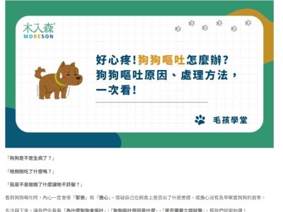 網路行銷／SEO 1：寵物保健品