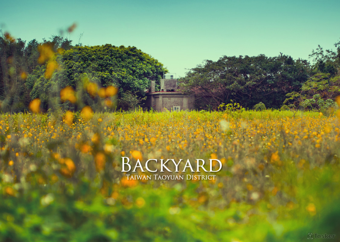 ＄600 修圖/件 ＄200 排版/件