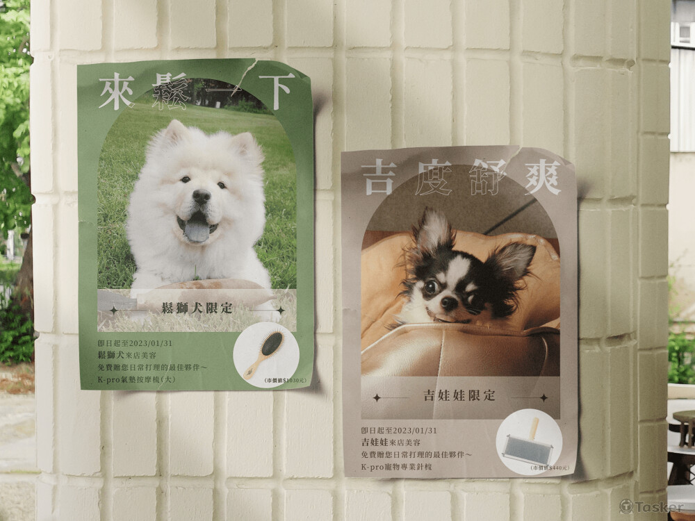 寵物美容活動｜海報設計