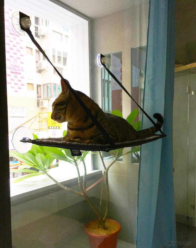 刻意退縮的前陽台