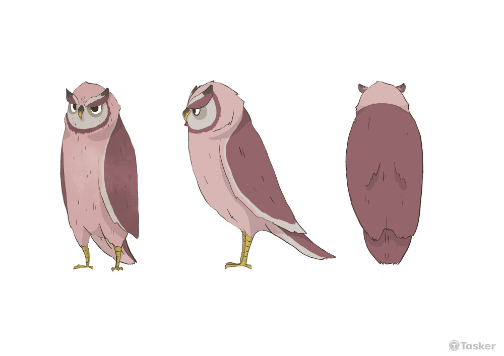貓頭鷹 設定