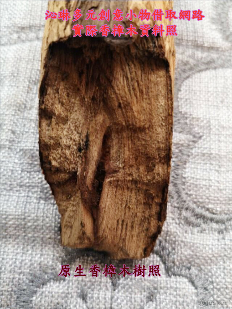 天然香樟木樹枝