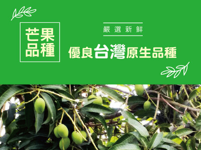 三地門情人果冰EDM設計