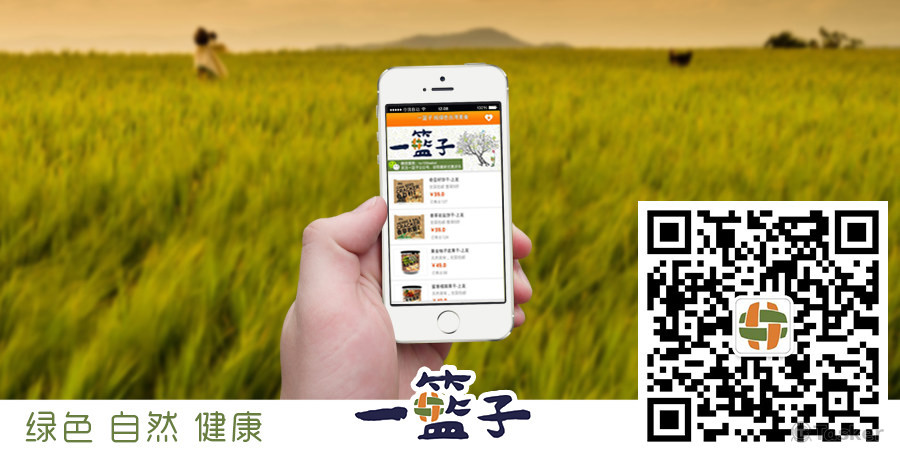 手機廣告banner設計