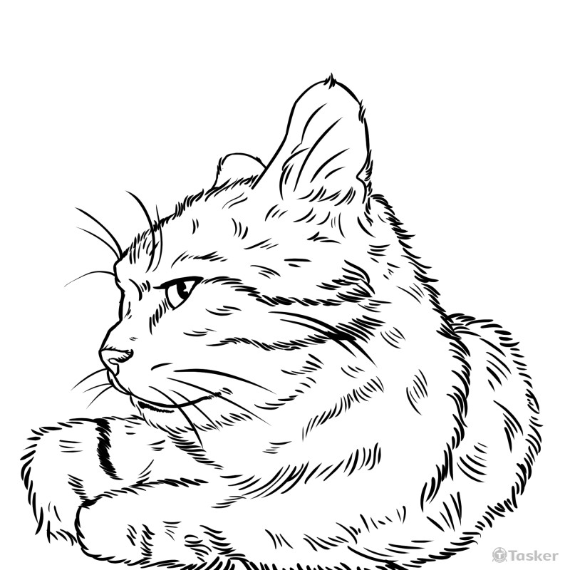 人像/文創/商品/線條/網拍合作設計