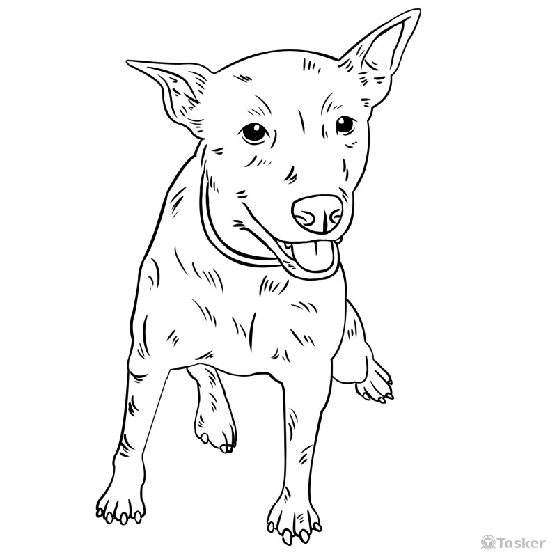 人像/文創/商品/線條/網拍合作設計