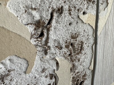 大地除蟲有限公司