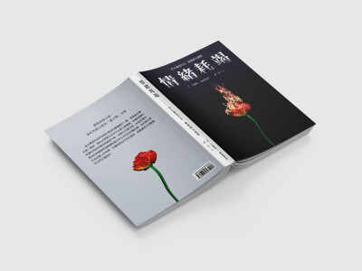 封面、海報、DM相簿