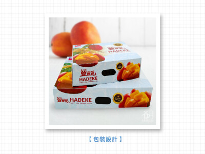 包裝設計