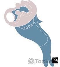 以靛藍色為出發延伸的安靜鯨魚