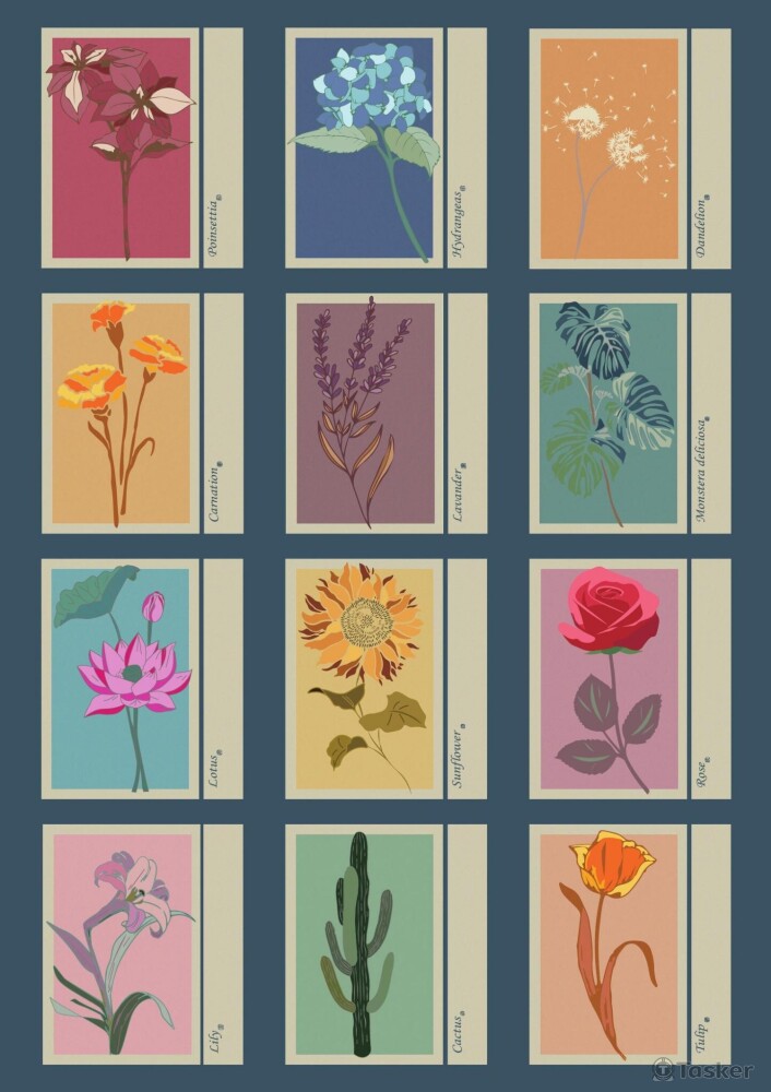 花卉平面設計