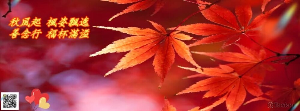 平面設計 參考