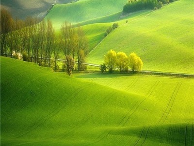 攝影、影像處理相簿