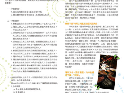 美術編輯、排版相簿