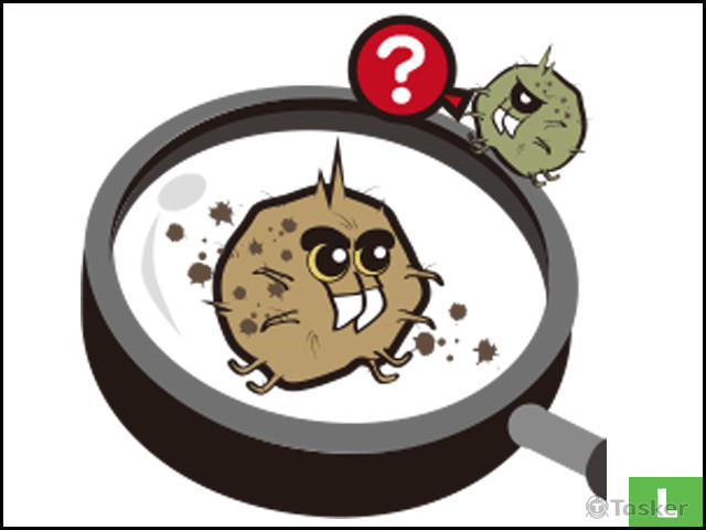 塵阿蟎的日常生活