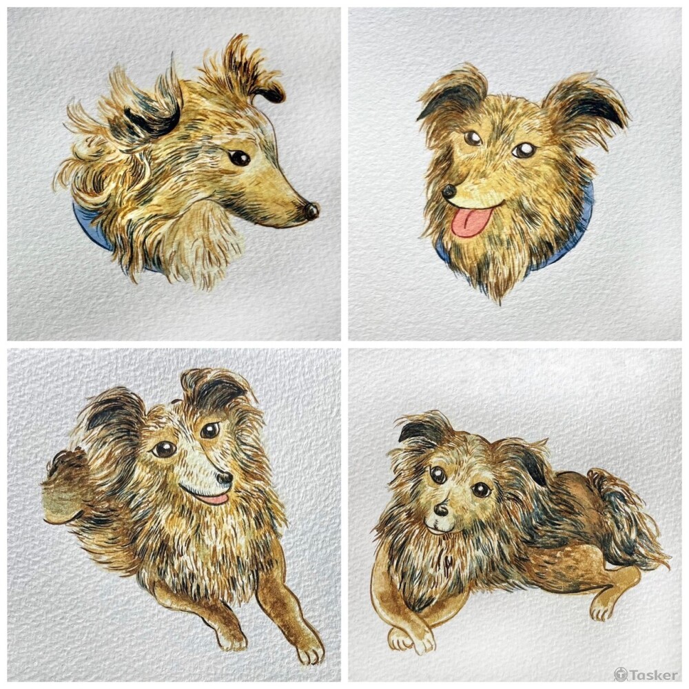 客製化毛寶貝的日常小圖