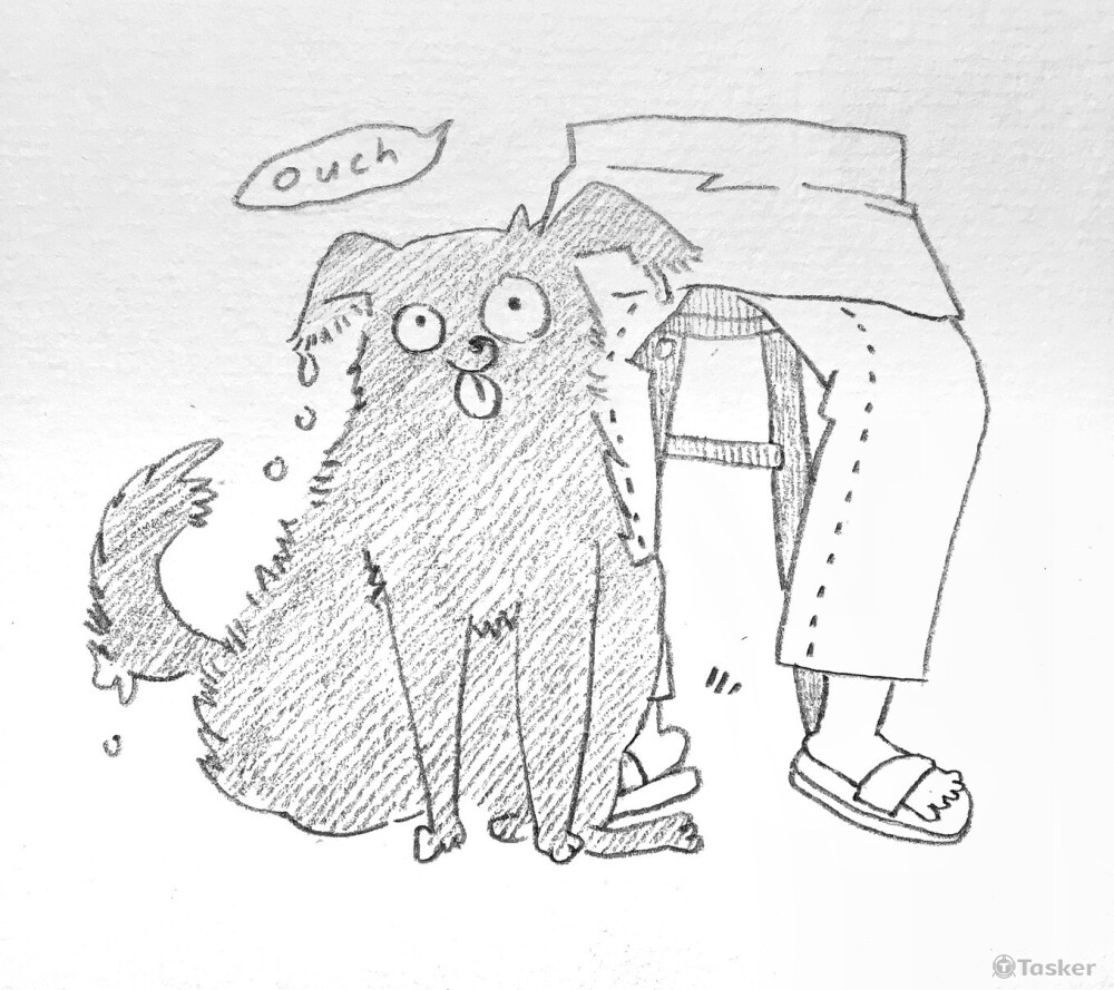 喜歡全身濕濕坐在別人腳上的狗勾🐶