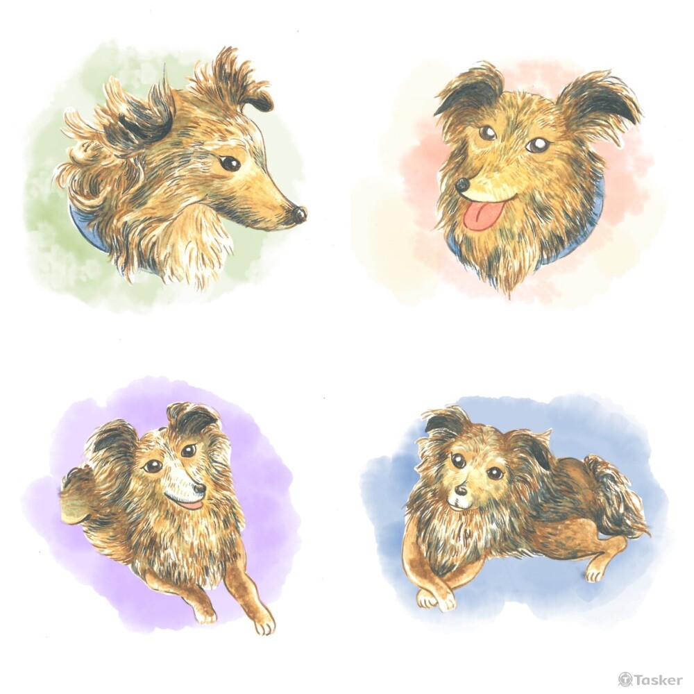 客製化毛寶貝的日常小圖