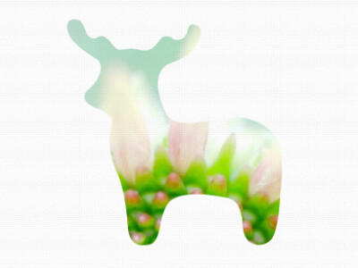 產品、行銷小物