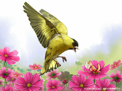 小牛頓科學雜誌插畫精選