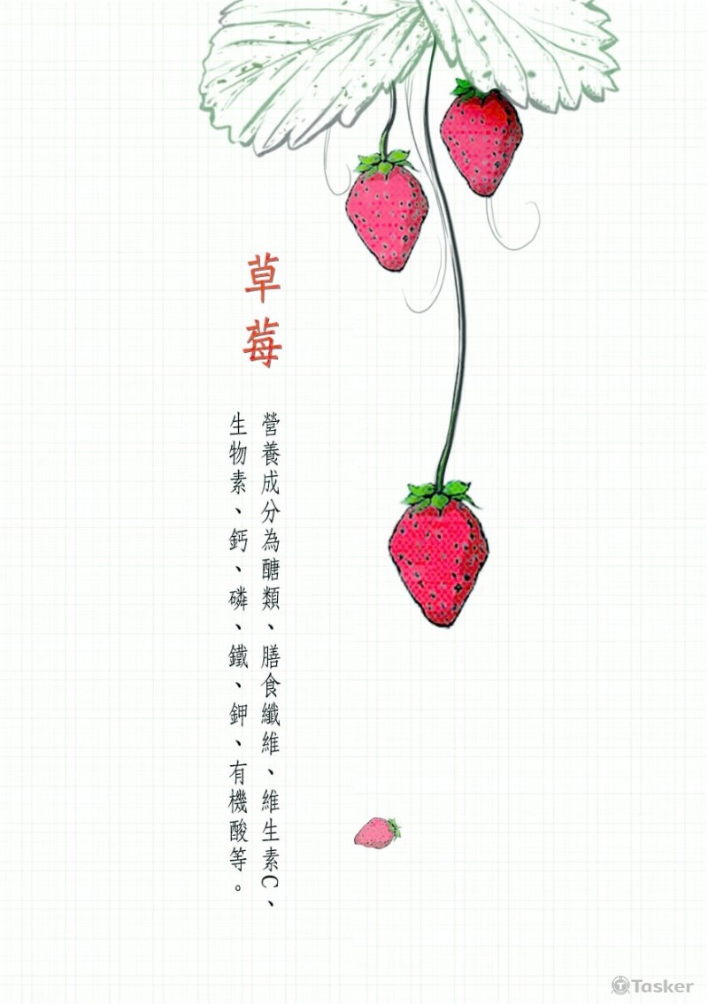 食材種類圖像_版面編排圖卡設計