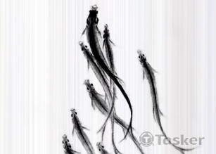 畫廊雜誌廣告設計