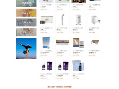 國際股份有限公司網站