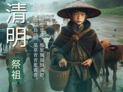   banner 設計  社群圖文 EDM設計