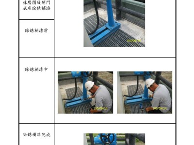 水工機電設備及控制系統設施檢查、維護、保養總報告