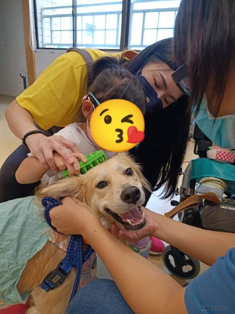 在腦麻協會服務中的OBO